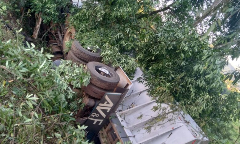 Carro com jovens colide contra caminhão e todos os três ocupantes morrem em SC