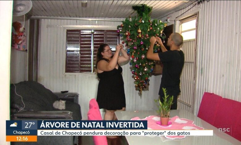 Casal aposta em árvore de Natal invertida para conciliar paixão por gatos com a decoração natalina | Santa Catarina