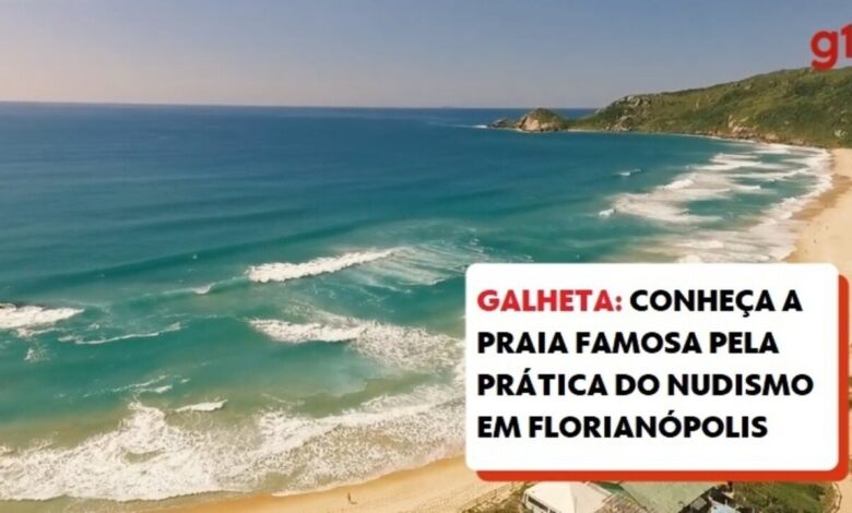 Como projeto busca legalizar prática de nudismo na Praia da Galheta, em Florianópolis