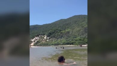 Conheça a Praia da Lagoinha do Leste, em Florianópolis, onde 'cascata' se formou em areia