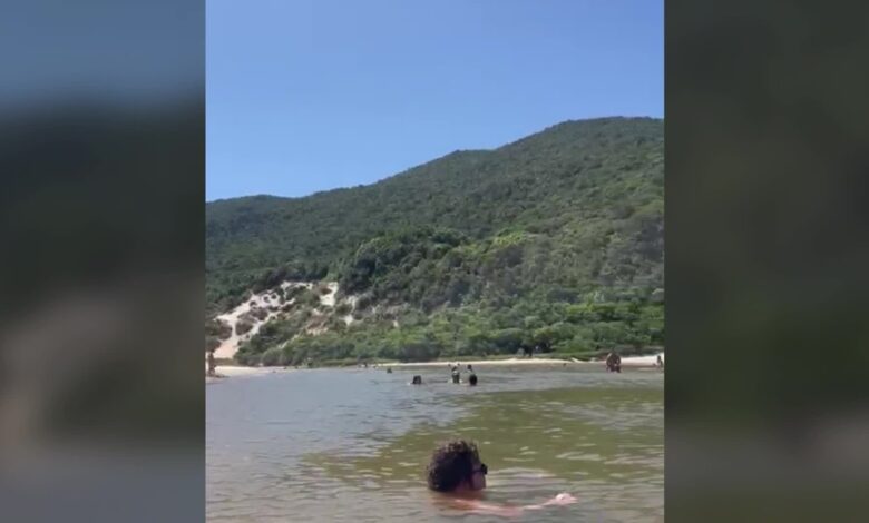 Conheça a Praia da Lagoinha do Leste, em Florianópolis, onde 'cascata' se formou em areia