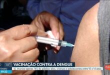 Dengue matou 1 pessoa por dia em Santa Catarina em 2024; vacinação segue baixa