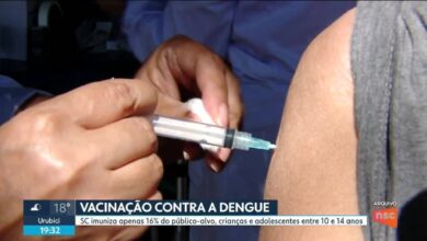 Dengue matou 1 pessoa por dia em Santa Catarina em 2024; vacinação segue baixa