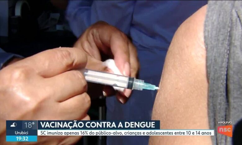 Dengue matou 1 pessoa por dia em Santa Catarina em 2024; vacinação segue baixa