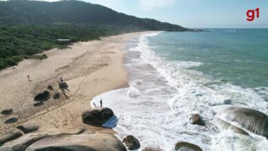 Justiça nega pedido para suspender venda de terrenos da única praia deserta de Balneário Camboriú por R$ 31,5 milhões