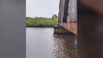 Mulher cai de ponte ao tirar foto e é salva por cadarço amarrado pelo namorado em SC; VÍDEO