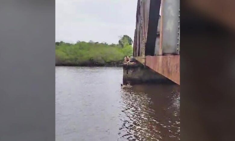 Mulher cai de ponte ao tirar foto e é salva por cadarço amarrado pelo namorado em SC; VÍDEO