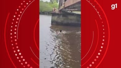 VÍDEO: 'Achei que ia morrer', diz mulher que ficou presa por cadarço em ponte após cair ao tirar foto em SC