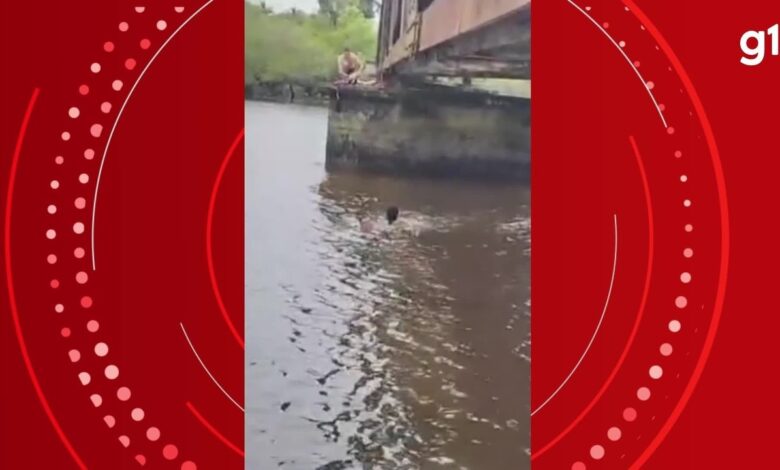 VÍDEO: 'Achei que ia morrer', diz mulher que ficou presa por cadarço em ponte após cair ao tirar foto em SC