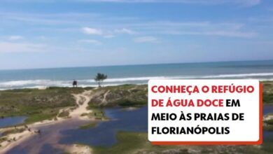 Veja quais são as praias próprias e impróprias para banho em SC