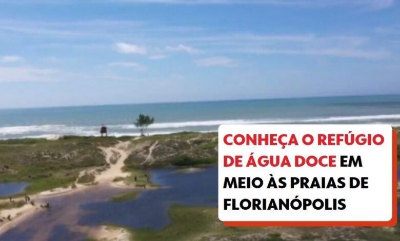 Veja quais são as praias próprias e impróprias para banho em SC