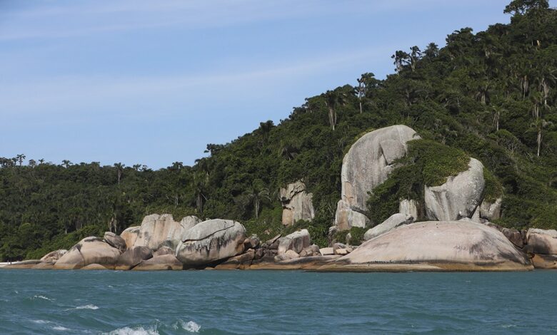 Conheça a Ilha do Campeche, 'o Caribe catarinense', que passou a ter acesso controlado por ingresso