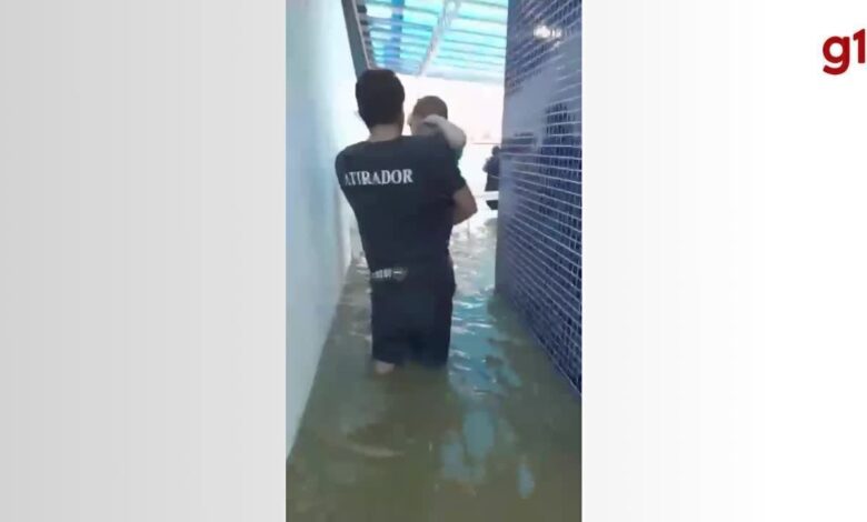 Saiba como, o que e onde doar para vítimas das fortes chuvas em Santa Catarina